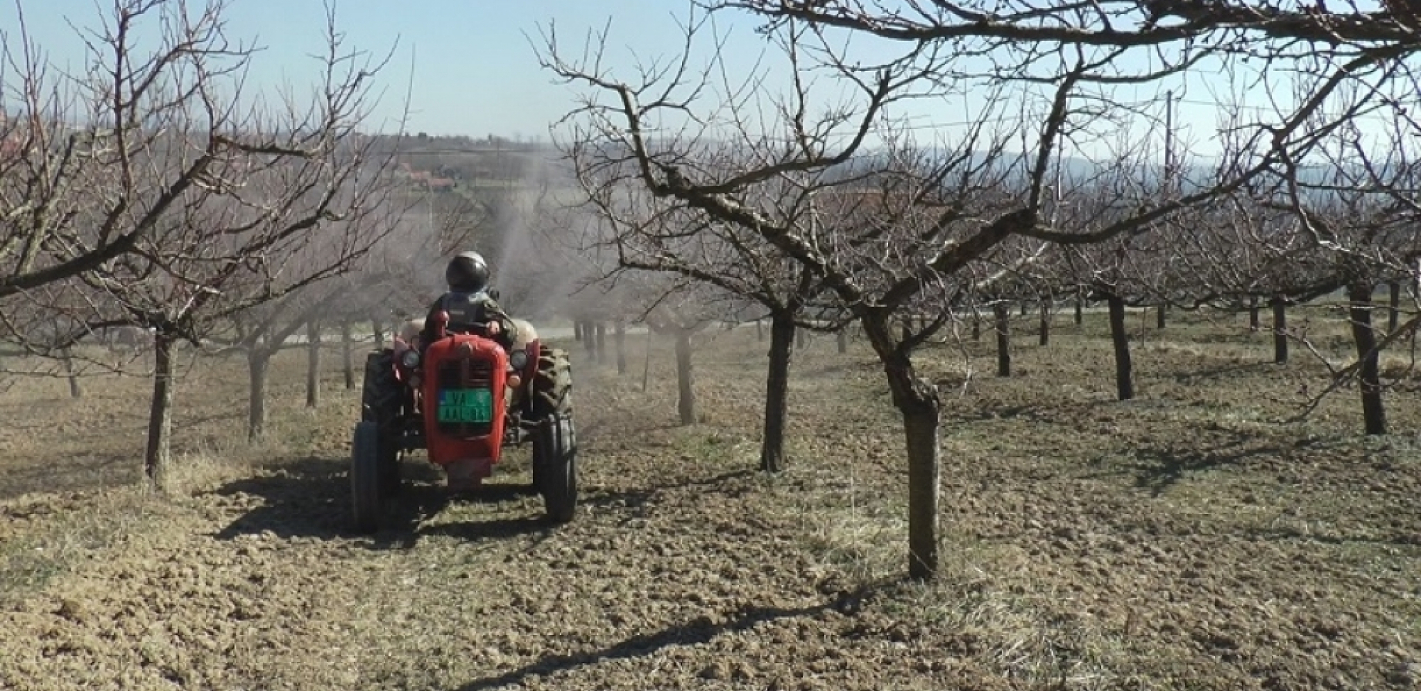2,5 MILIONA ZA POLJOPRIVREDNIKE: Opština Sečanj raspisala konkurs za dodelu bespovratnih sredstava
