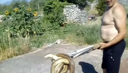 ČEKALO JE VELIKO IZNENAĐENJE! Žena u Hercegovini krenula da napravi doručak, a u sudoperi je videla užas od dva metra! (VIDEO)