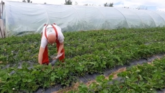 CEO PROCES SE RAZLIKUJE Dragan pravi proizvod koji svi traže: Proces je jednostavan, nećete moći da mu odolite (FOTO)