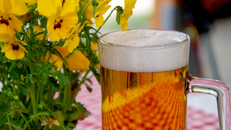 Može da bude i korisno: Pivo pozitivno deluje na zdravlje, a evo i kako