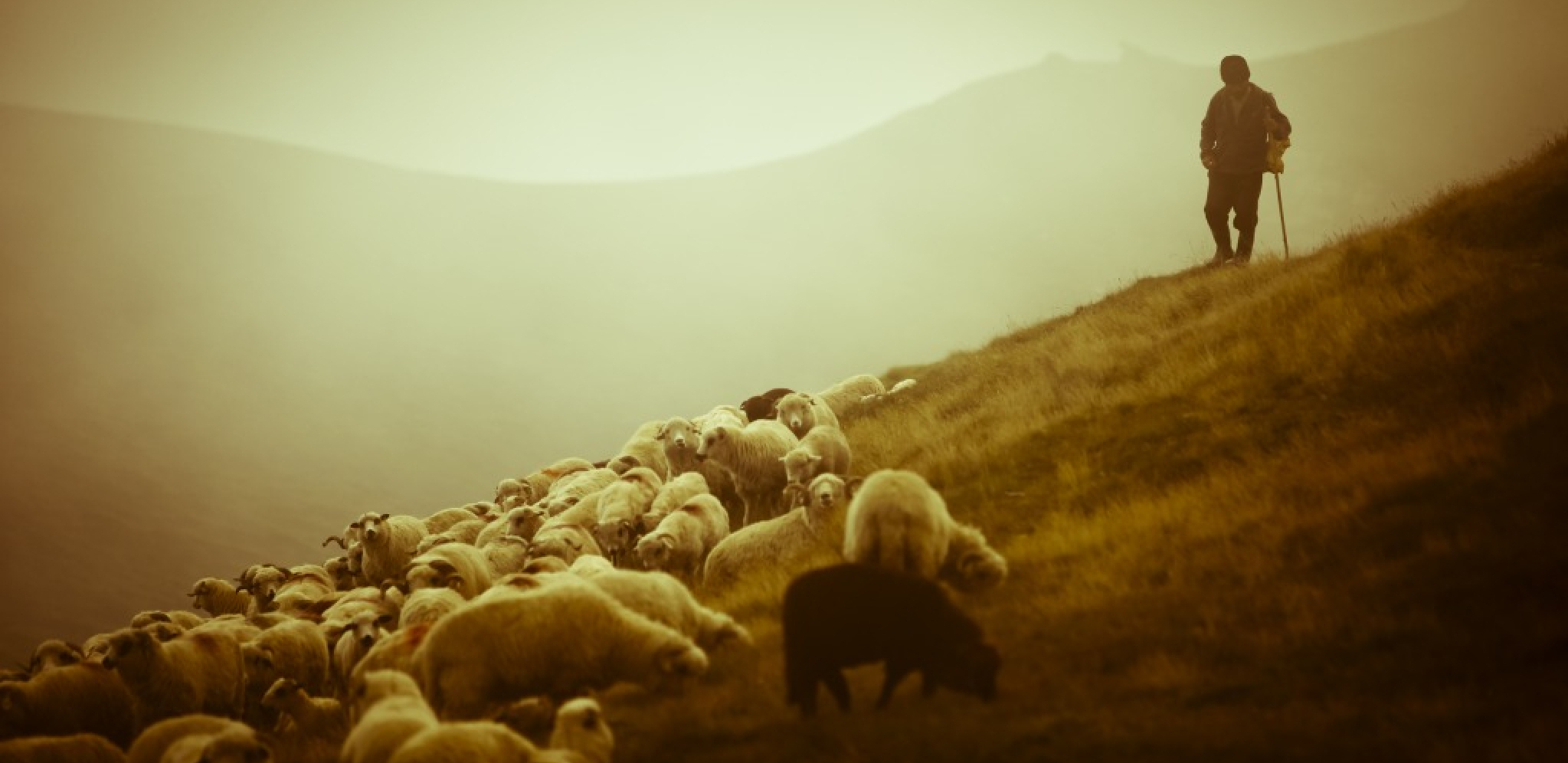 NIKAD NIJE RADIO OVE 3 STVATI! Živeo vek ipo, zdrav, vitalan, čistog uma, a kleo se u ovih 5 jednostavnih tajni