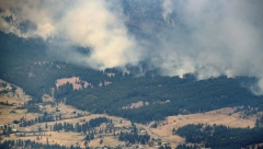 Požar kod Subotice: Vatra se brzo proširila, ali vatrogasne ekipe su uspele da je ugase