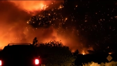VELIKI POŽAR U BEOČINU Vatrena stihija se velikom brzinom širi ka šumi!