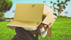 NEĆETE POTROŠITI MNOGO, A BIĆETE MIRNI CELO LETO  Ko pije ovaj vitamin, od njega komarci beže