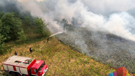 VATROGASAC ZADOBIO OPEKOTINE Požar kod Subotice uspešno lokalizovan, izgoreo veliki deo Radanovačke šume