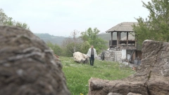 PECA IMA NAJNEOBIČNIJI MUZEJ U SRBIJI Biolog skuplja kamen, a na gromadama koje poseduje pozavideli bi mu mnogi u Evropi (FOTO)