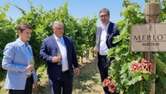 VUČIĆ I ORBAN OTIŠLI U SREM Šetnja kroz vinograd sa čašom vina, a zdravici se pridužila i premijerka Ana Brnabić (FOTO)