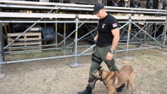 MUP SAOPŠTIO: Prvog dana Egzita zaplenjeno više od šest kilograma droge, krivične prijave protiv 34 osobe