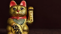 AMAJLIJA KOJU TREBA DA IMATE: Evo šta predstavlja srećna mačka