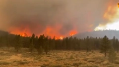 UGAŠEN POŽAR KOD PRIBOJA Vatru obuzdalo 40 vatrogasaca