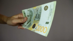 SRBIJA VRVI OD ZELENOG ZLATA Uložite 800 evra a zaradite 5.000: Porodice profitiraju od ovog POSLA!