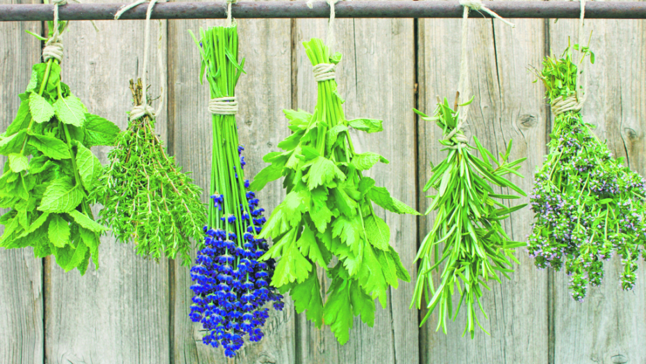 KOMBINACIJA TRI ZAČINA JE NAJEFIKASNIJA FORMULA ZA MRŠAVLJENJE Imate u kuhinji, a smanjuju kilograme i nadutost, izbacuju višak tečnosti