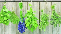 NAJBOLJI ZAČINI PROTIV UPALA: Ako ih mešate na ovaj način, sprečićete mnoga oboljenja