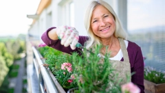 SAČUVAJTE LETO U KUHINJI  Iskoristite sezonu aromatičnih začina i toplinu letnjeg vazduha da ih spremite za zimu