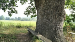 MAGIČNA MOĆ PRIRODE U SELU TIJANJE: Stotine ljudi se kune u njegovu delotvornost, tu dolaze po zdravlje i spas (FOTO)