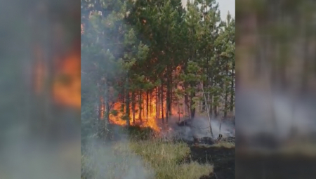 "NIŠTA NIJE POD KONTROLOM" Besni džinovski požar u Hrvatskoj, vatrogasci počinju da paniče!