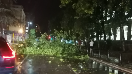 NA DESETINE STABALA I GRANJA UKLONJENO U Novom Sadu saniraju se posledice nevremena