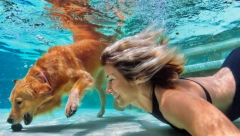 BRČKANJE U DRUŠTVU Naučite psa da uživa u vodi i obezbedite mu hlađenje tokom celog leta