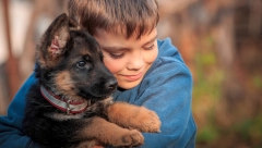 EVO KAKO JE DEČAK SPASIO ŠTENE: Na muci se poznaju junaci