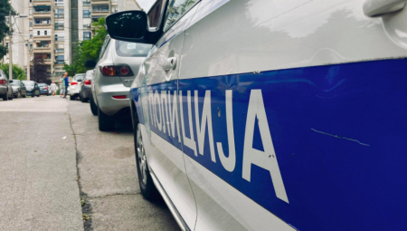 SRPSKI CARINICI IMAJU ULOV GODINE Zaustavili luksuzni "audi", a u kaseti pronašli 140.000 evra