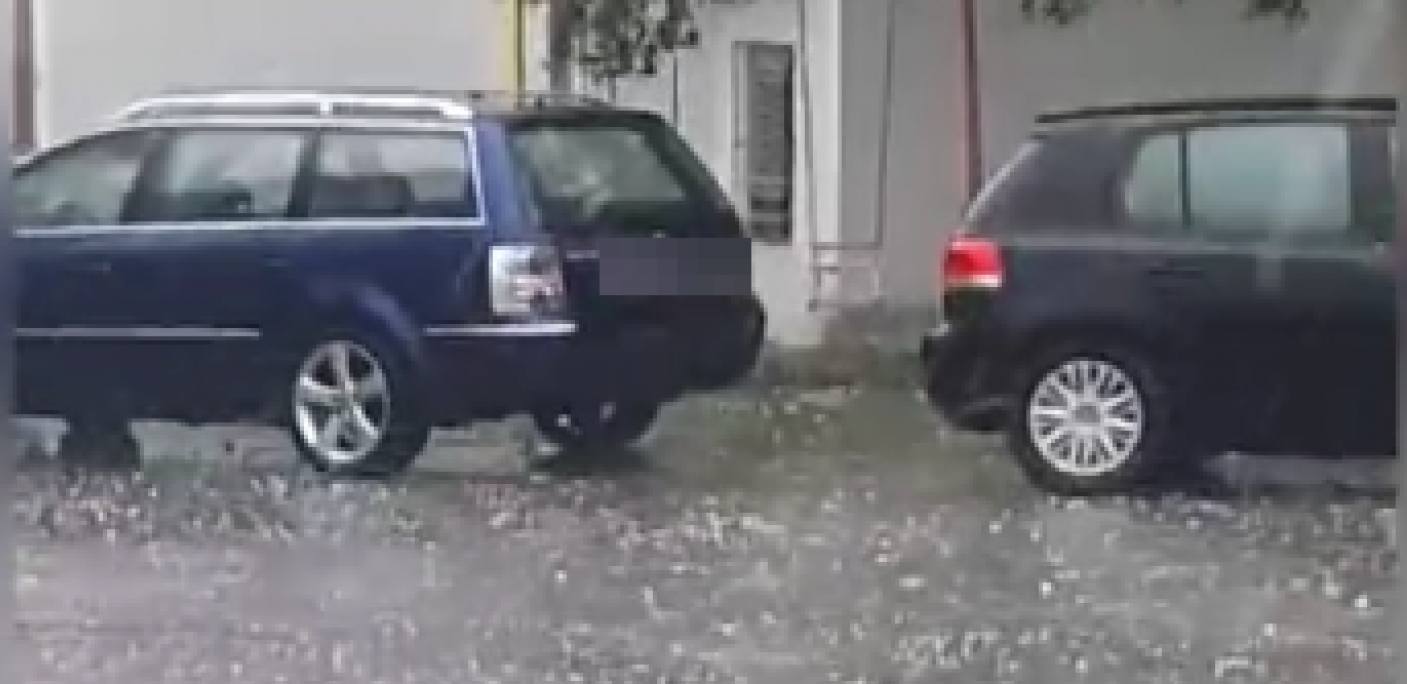 POSLEDICE NEVREMENA KOD NOVOG SADA U Budisavi vetar lomio drveće