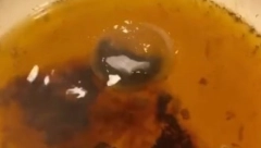 OVIM TRIKOM ODUŠEVLJENO JE 20 MILIONA LJUDI: Pokupite višak masnoće iz tiganja, potreban vam samo ubrus