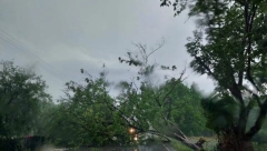 "MISLILI SMO DA ĆE VODA ODNETI SVE PRED SOBOM" Neočekivano nevreme prepalo meštane Topole, grad napravio ogromnu štetu, vetar čupao drveće iz zemlje