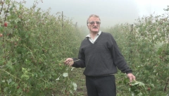 NEVREME OPUSTOŠILO IVANJICU I SELA Blagoju za 20 minuta PROPALO 18.000 evra