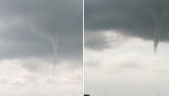 TORNADO U ISTRI Srušeno drveće , oštećeni električni stubovi...