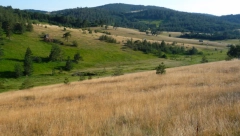 OVO JE NAJMANJA CRKVA U SRBIJI Ušuškana među borovima, evo gde se tačno nalazi  (FOTO)