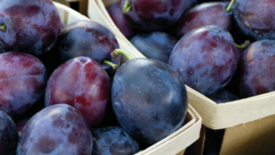 OVA VOĆKA JE PRAVI ČISTAČ ORGANIZMA: Jedite 5 šljiva svaki dan, smršaćete i biti zdravi kao dren