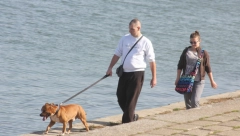 PLJUŠTE KAZNE I DO 20.000 DINARA Ako ovako šetate psa možete biti žestoko kažnjeni!