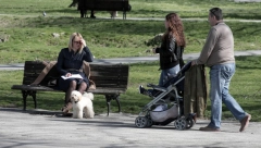 GRADSKI SEKRETERIJAT OBJAVIO Stiže pomoć za parove, sve je o trošku države! Iskoristite svoje pravo