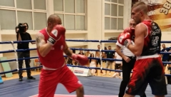 Bokseri Crvene zvezde za titulu, Sombor za majstoricu