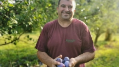SPADA U NAJKRUPNIJE I NAJKVALITETNIJE SORTE Cena joj je tri puta veća, a Nemci je obožavaju, vredi uložiti svaki dinar (FOTO)