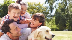 SRBI UPLAĆUJU OSIGURANJE I ZA KUĆNE LJUBIMCE Evo koliko košta i šta ako vas pas ujede