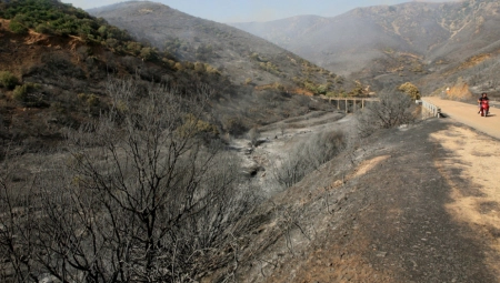VAPAJ IZ RIMA! Italija moli evropske države za pomoć!