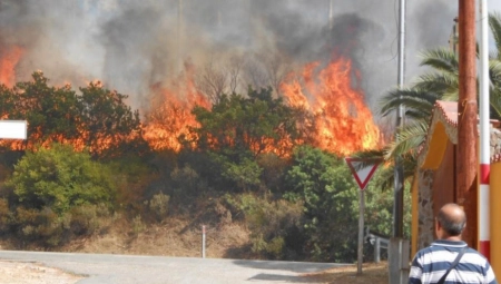 VATRENA STIHIJA U GRČKOJ I TURSKOJ NE PRESTAJE Vatra zahvatila naselja oko Bodruma i predgrađa Atine, destine hiljada ljudi evakuisano i više preminulih!