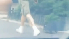 "JEL TO MAČKA ILI PAS?" Beograđanin izveo kućnog ljubimca u šetnju po Mirijevu - Instagram je eksplodirao! (VIDEO)