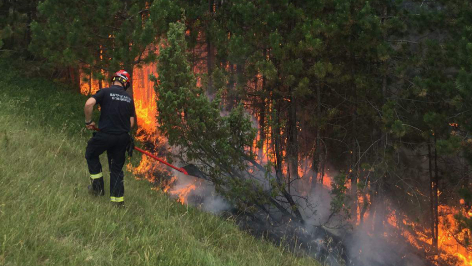 GORI RUSIJA! Besni čak 270 požara!