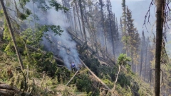 GORI SRPSKA LEPOTICA Tara u plamenu!