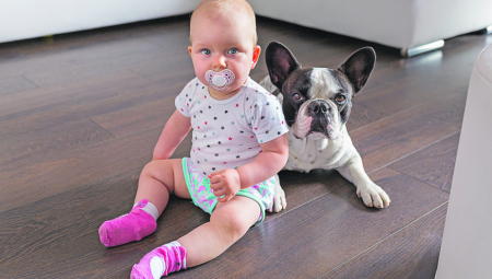 PRIPREMITE SE ZA DOLAZAK NOVOG ČLANA Ovih 5 stvari morate se rešiti pre nego kućni ljubimac dođe u vaš dom