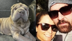 "PROMENIĆU TI ŽIVOT ZAUVEK" Muškarac našao ženu koja mu je ukrala psa, a onda je uradio nešto neverovatno!