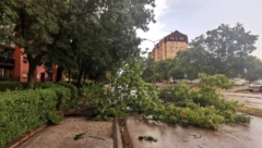 UŽASNO NEVREME PROTUTNJALO SRBIJOM "Sve se zacrnelo, ispred nas se sručilo drvo, jedva smo izbegli tragediju!" (FOTO)