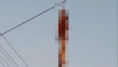 POLICIJA PRONAŠLA POČINIOCE ZVERSTVA U SRBOBRANU Krivične prijave protiv dvojice maloletnika!