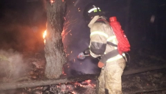 VELIKI POŽAR U HRVATSKOJ Svi raspoloživi vatrogasci i četiri kanadera gase vatru u Biokovu