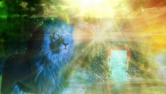 DANAS JE MAGIČAN DAN, OTVARA SE LAVLJA KAPIJA Uradite 3 stvari i želje će vam se ispuniti