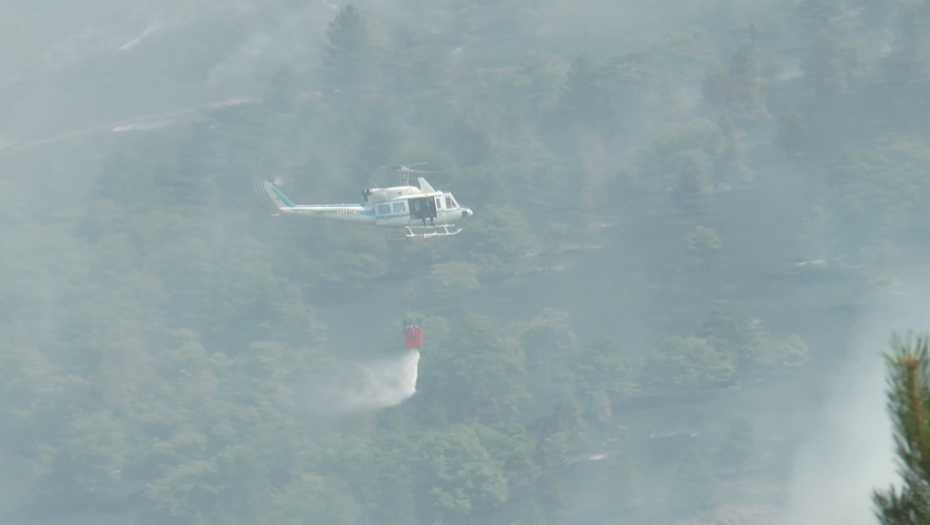 OVO SU HEROJI KOJI SU SPASILI MOKRU GORU Hrabri vatrogasci borili su se sa vatrenom stihijom više od 12 časova, izgorelo je 100 hektara šume!