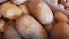 Ruski lek: Probajte ovo prirodno rešenje za hemoroide