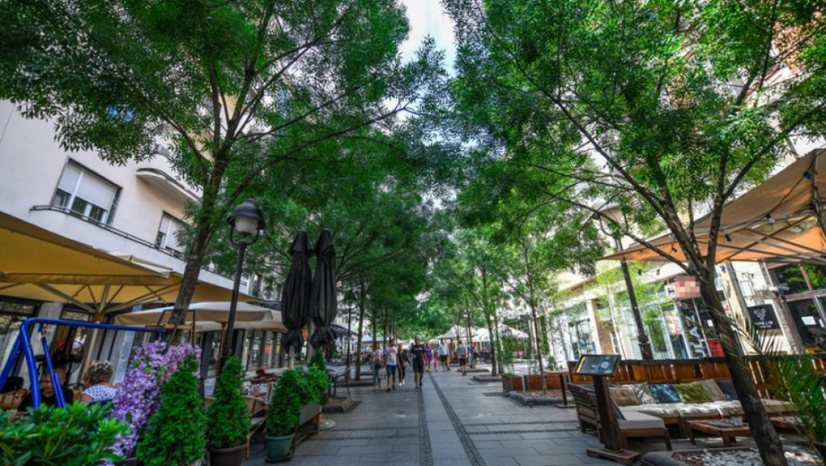 PAPRENE CENE OD KOJIH BOLI GLAVA Kvadrat u ovim ulicama ide i do 10.000 evra!